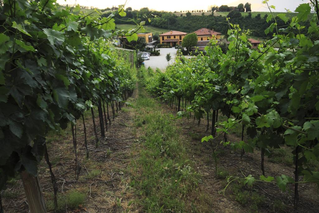 Agriturismo Gaggioli Borgo Delle Vigne Zola Predosa Exterior photo