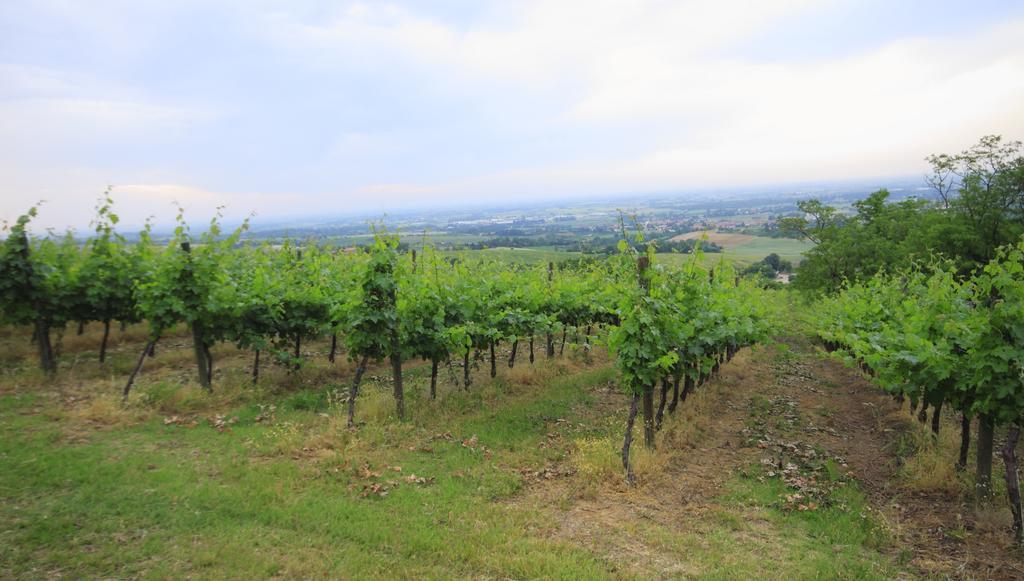 Agriturismo Gaggioli Borgo Delle Vigne Zola Predosa Exterior photo