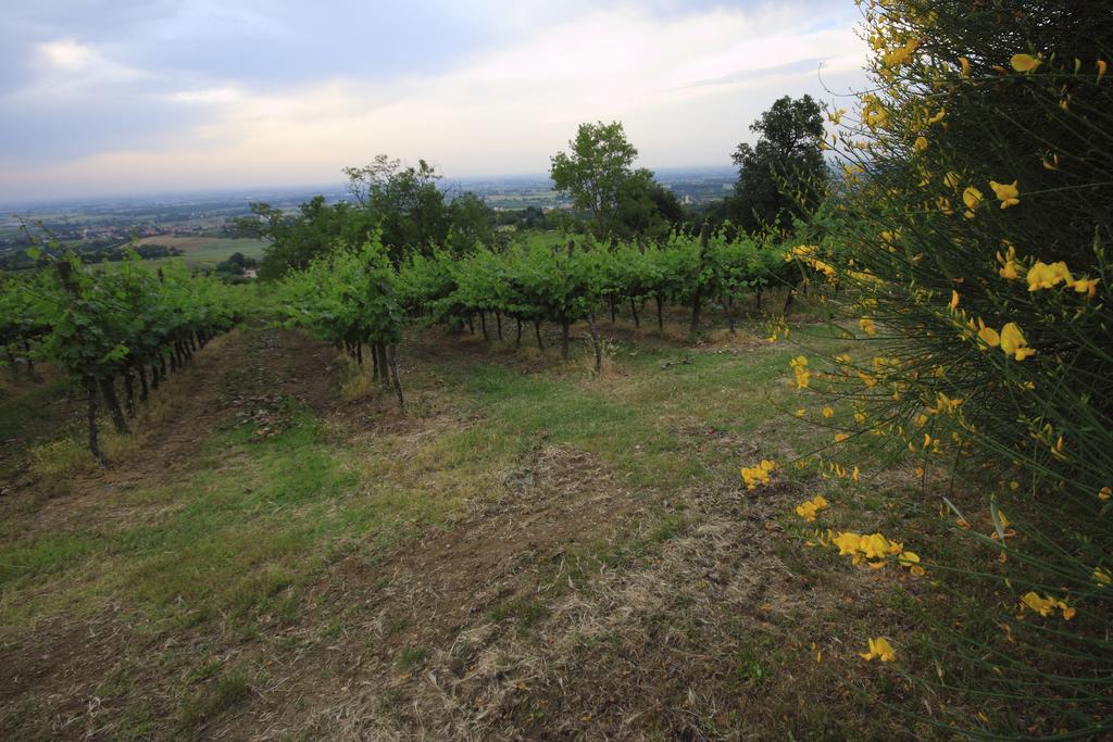 Agriturismo Gaggioli Borgo Delle Vigne Zola Predosa Exterior photo