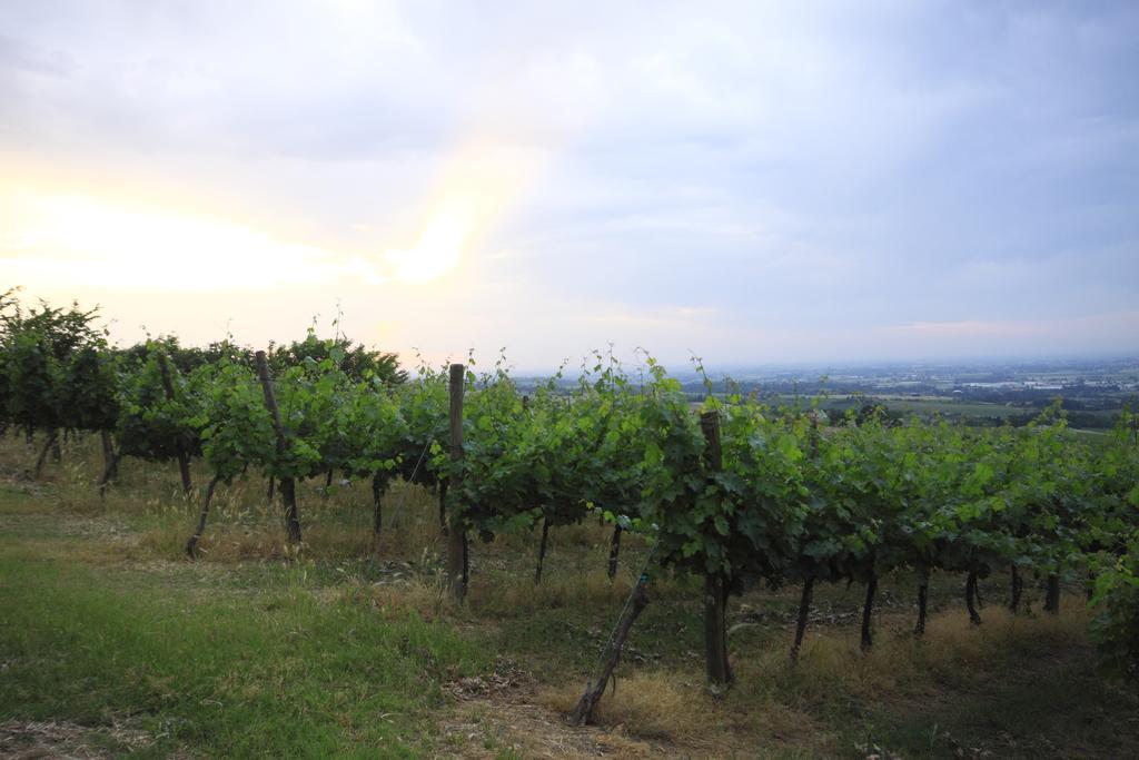 Agriturismo Gaggioli Borgo Delle Vigne Zola Predosa Exterior photo