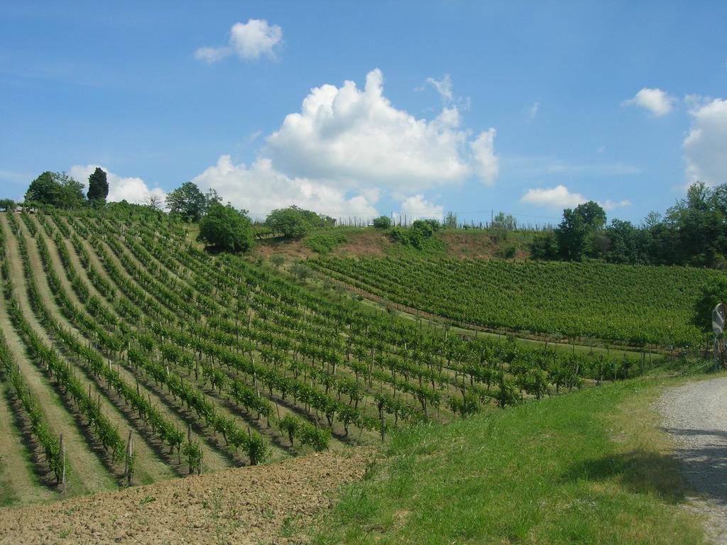 Agriturismo Gaggioli Borgo Delle Vigne Zola Predosa Exterior photo